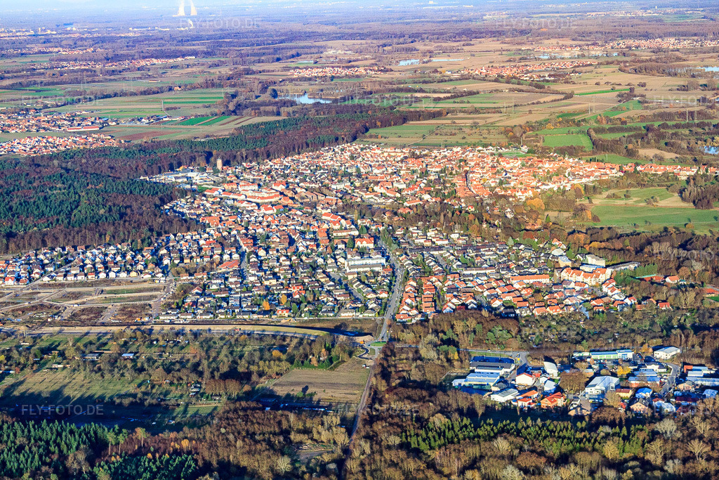 Luftbild: Stadt hinterm Bienwald aus Westen in Jockgrim im Bundesland Rheinland-Pfalz in Deutschland. Foto: IMG_22630.jpg vom 19.11.2009 durch Werner Riehm/FLY-FOTO.de