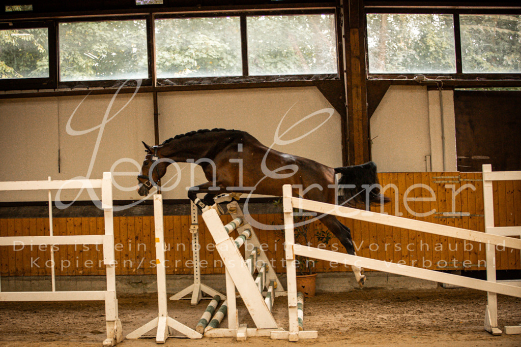 2FS_L00104 | Leoni Ertmer Photography - Realisiert mit Pictrs.com