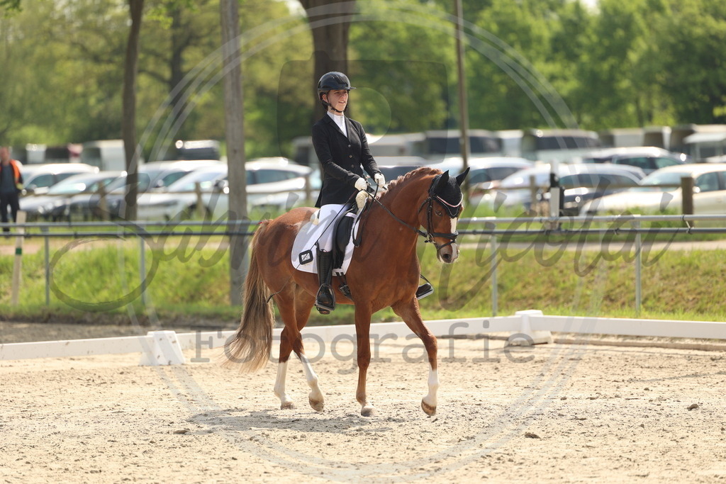 994A6771 | sabrinanicolaifotografie - Realisiert mit Pictrs.com