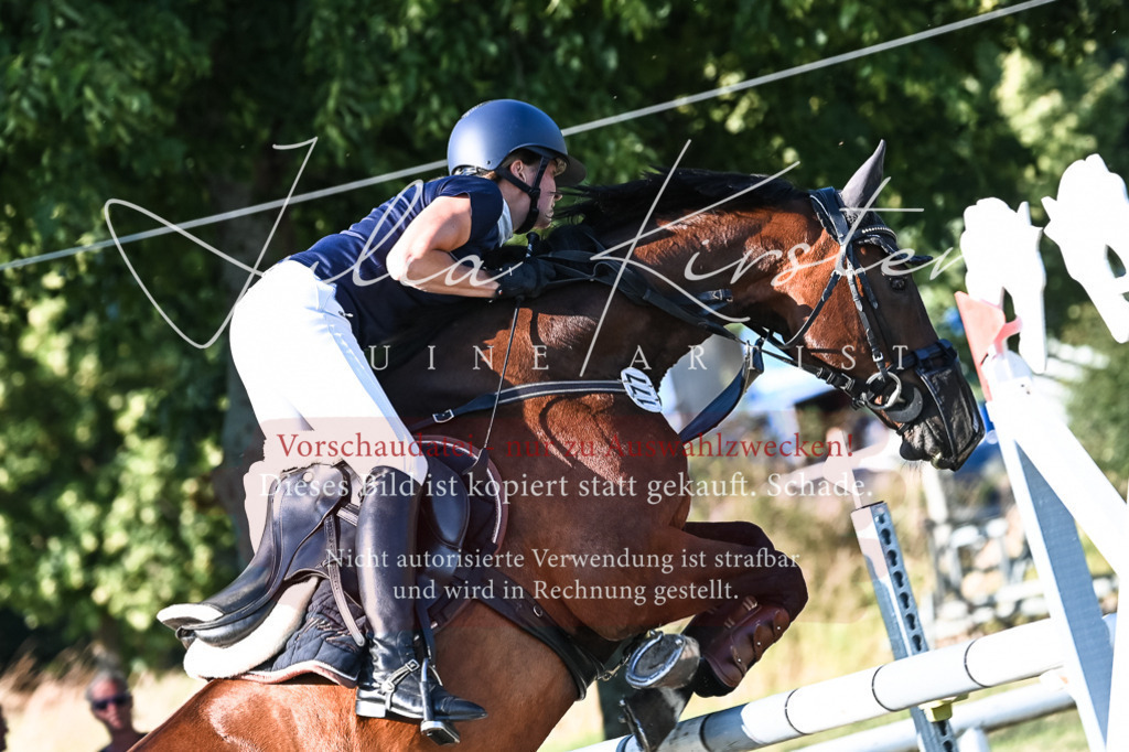 DSC_2990 | Pferde- und Turnierfotografie in Westsachsen. Pferdeportraits, Auftragszeichnungen und intuitive Kunst.