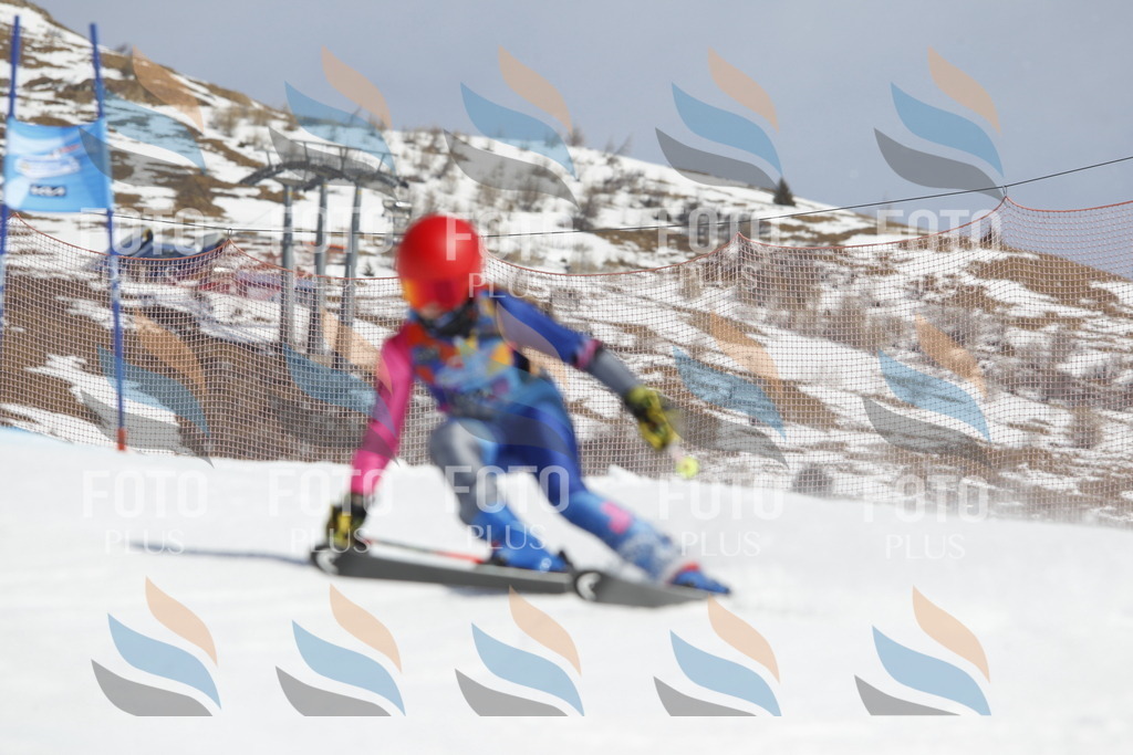 _U3G1547 | holidayphoto