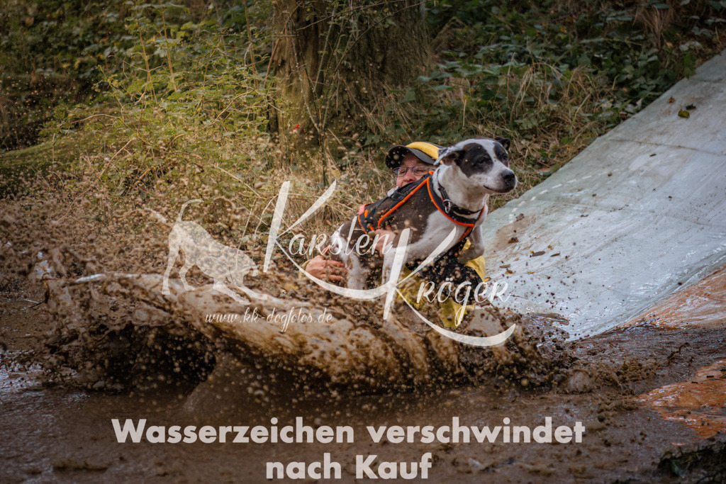 0830_ZZ90556 | kk-dogfotos