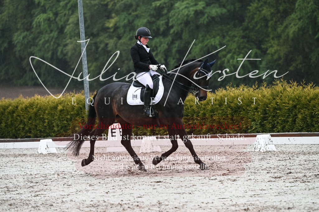 DSC_4696 | Pferde- und Turnierfotografie in Westsachsen. Pferdeportraits, Auftragszeichnungen und intuitive Kunst.