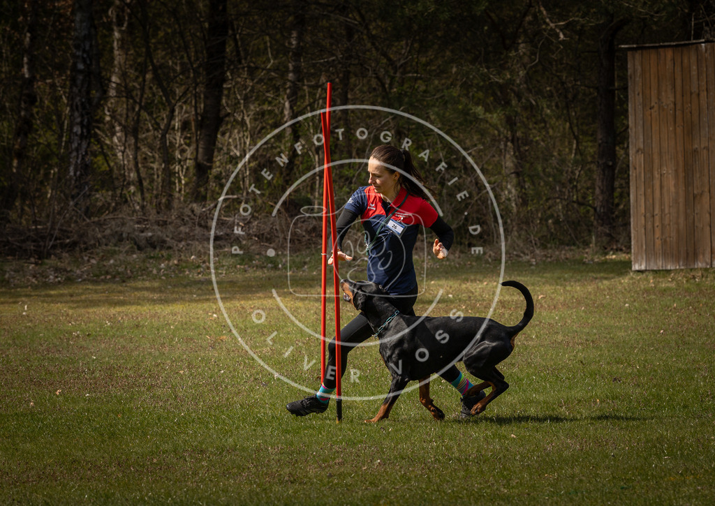 Pfotenfotografie_DV3A4714 | Hundefotografie, Tierfotograf, Pfotenfotografie, Fotoshooting Hund, Hunde Portrait, Hundesport, Hundeportraits, Heideshooting, Hunde, Sportfotograf, Hundefotograf, Turnierhundsport, THS,  - Realisiert mit Pictrs.com