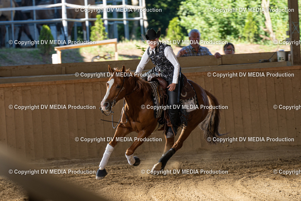 DSC00544 | dv-media-shop - Realisiert mit Pictrs.com