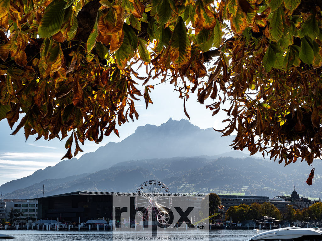 Pilatus. Herbst. Riesenrad. | <p><strong>FARBE. GEBIRGE. HORIZONT.</strong></p><p>Die Herbstpracht des Kastanienlaubs bildet einen dramatischen Rahmen für den majestätischen Pilatus über dem Vierwaldstättersee. Im Vordergrund setzt das leuchtende Riesenrad einen modernen Akzent zur zeitlosen Schönheit der Alpen. Dieses Bild fängt den einzigartigen Kontrast zwischen städtischem Leben und alpiner Erhabenheit ein.</p><p>Wähle unter "Produktauswahl" dein Wunschformat: Vom klassischen Wandbild über Puzzle & Tassen bis zum digitalen Download (z.B. als Handy-Hintergrund).</p> - Realisiert mit Pictrs.com