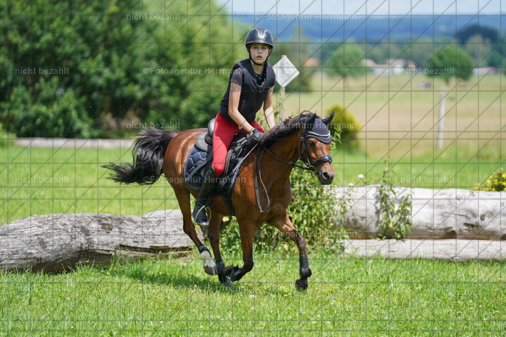 20240622-FAH07291 | Turnierfotografen Bayern, Reitsportbilder aus dem Geländekurs mit Felix Etzel auf dem Gut Waitzacker 2024