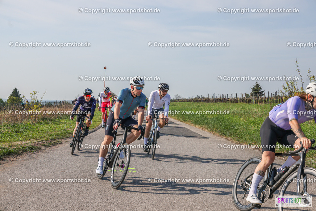 007A8822 | Neusiedlersee Radmarathon #neusiedlerseeradmarathon #neusiedlersee #nrm26 #yourpictrs #sportshot_your_pictrs