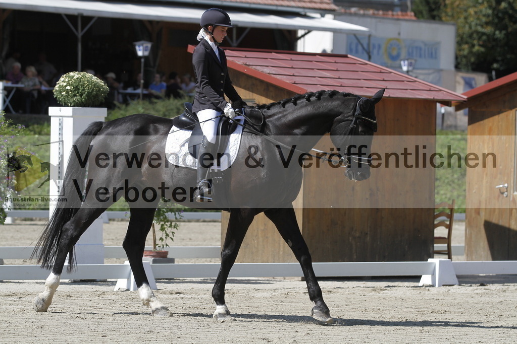 _MG_0423 | equestrian-live-com
