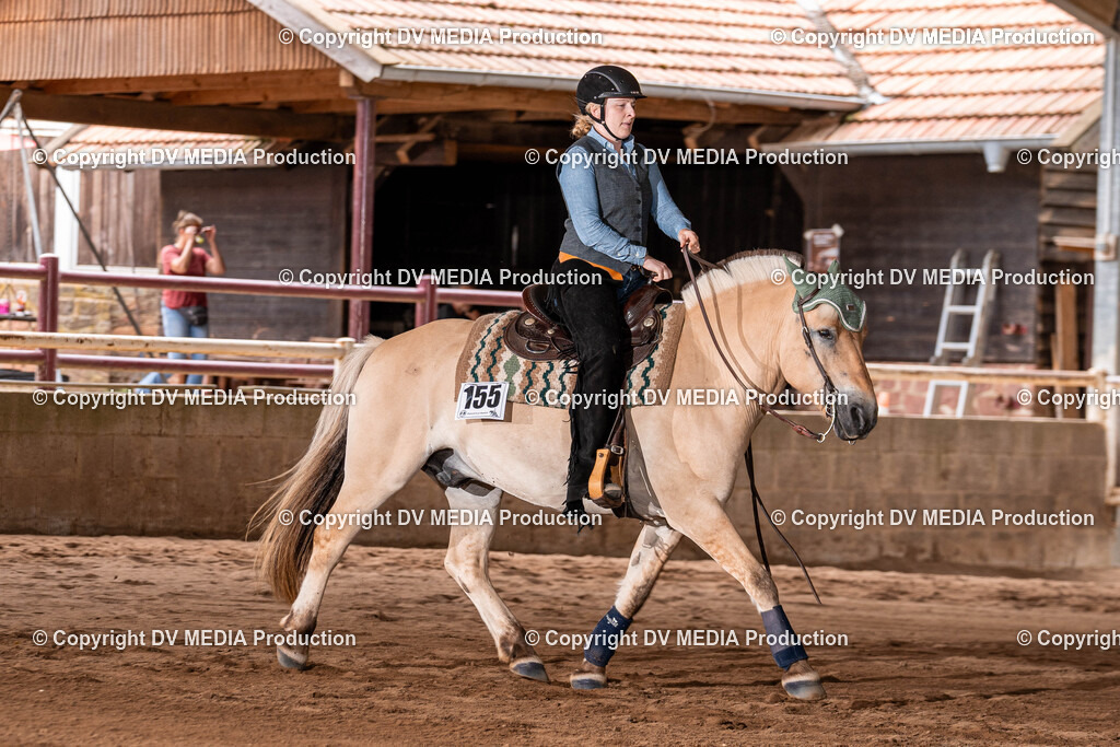 Erbach Tag 3-1419 | dv-media-shop - Realisiert mit Pictrs.com