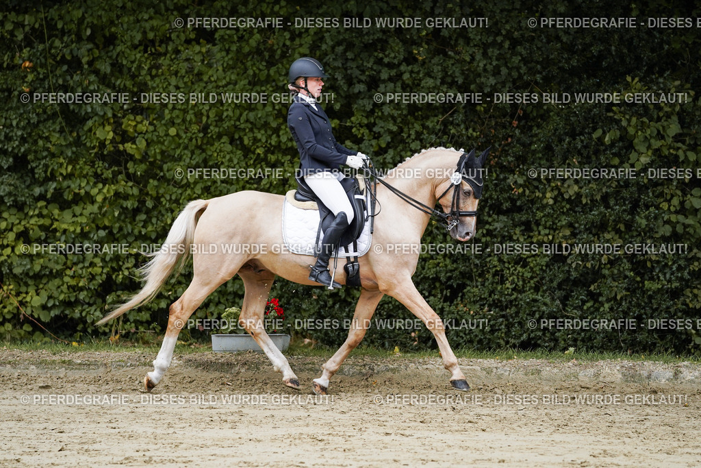 DSC08863 | Pferdegrafie