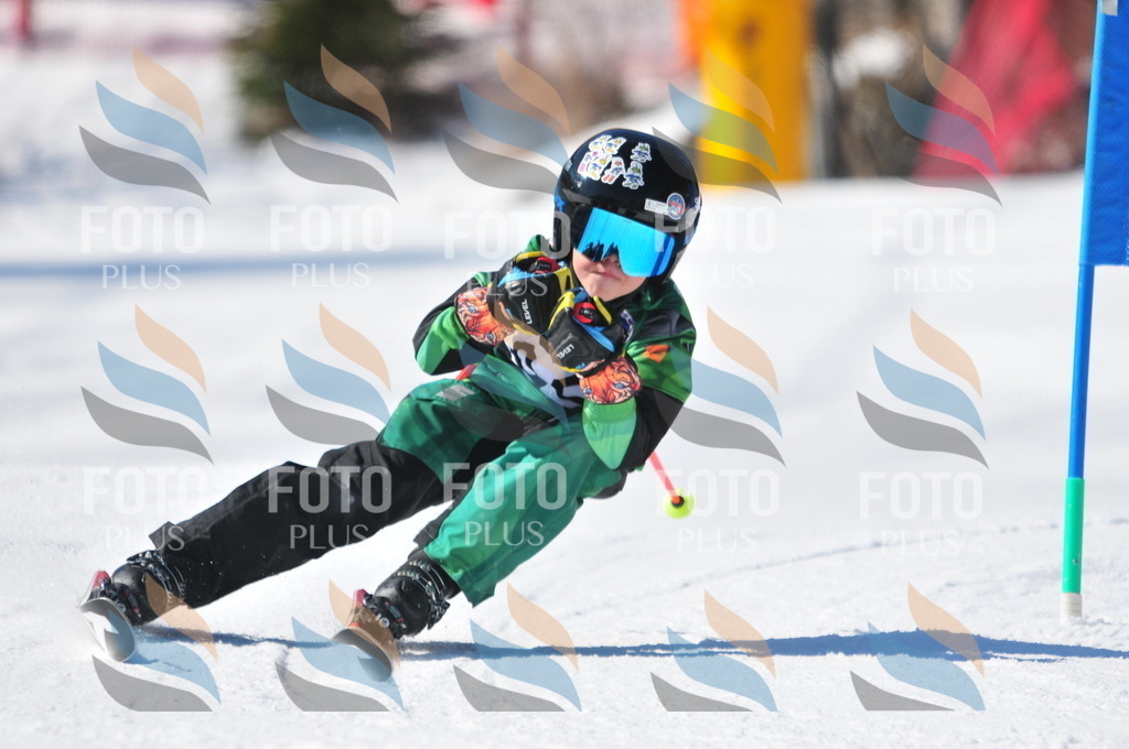 C3137 | holidayphoto