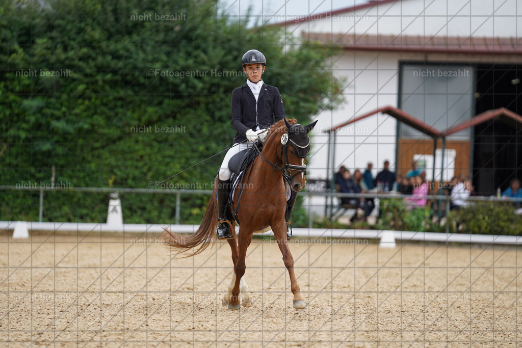 20240825-FAH09885 | Turnierbilder, Reitsportfotos, LAPO, Landesponyturnier, Turnierfotografen Bayern