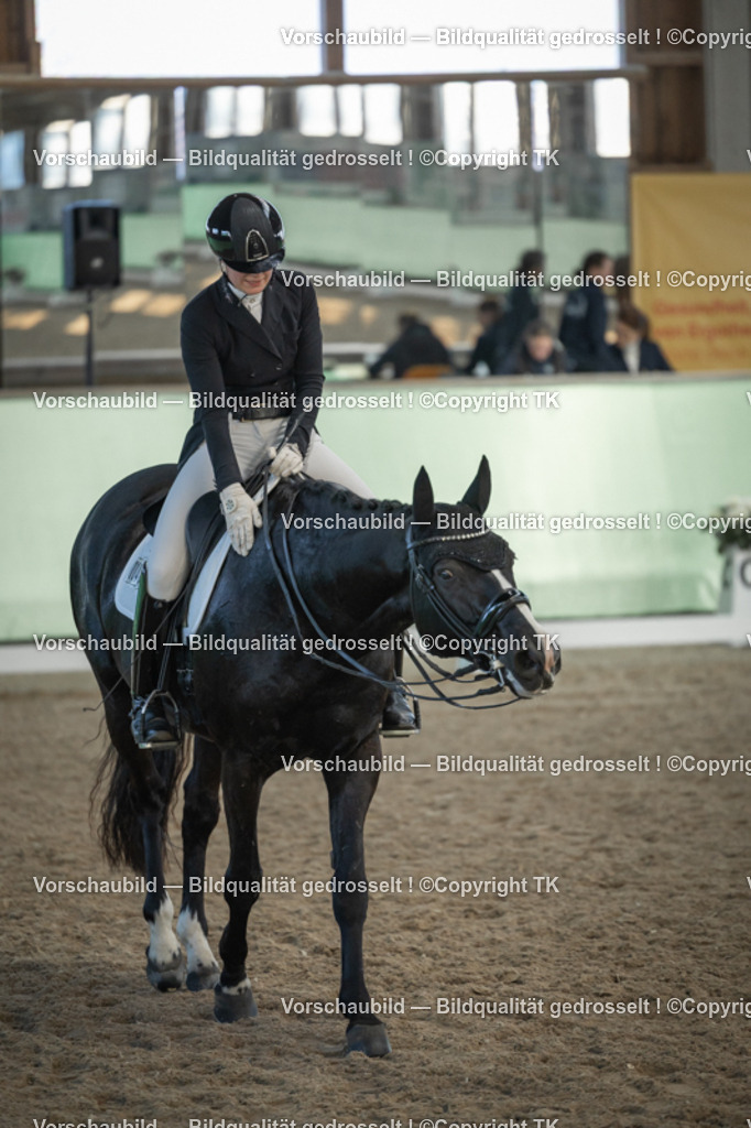 _D5A0820 | Emotionale Pferde- & People-Fotografie rund um Heidelberg, Leimen & Umgebung. Natürliche Fotos von Pferd, Mensch & Familie. Jetzt Termin sichern!