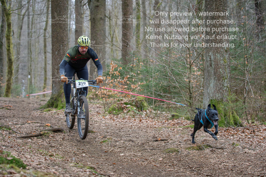 Bike_So-45_1-1 | stephaniefillaphotographie - Realisiert mit Pictrs.com