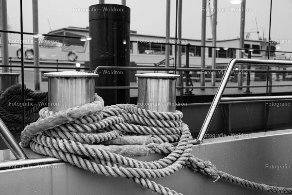 20221109 Bregenz-11 | Fotografie Woldron