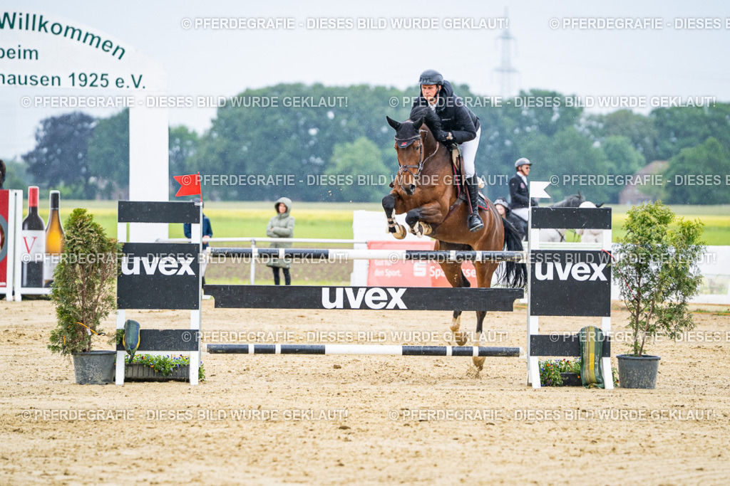 DSC08445 | Pferdegrafie