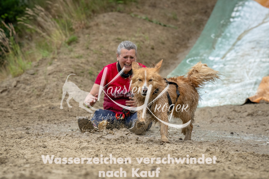 1254_ZZ91087-Bearbeitet | kk-dogfotos