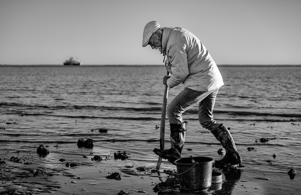 Prof. Dr. Karsten Reise, Meeresbiologe und Küstenforscher © Holger Rüdel | Der Online-Shop von Holger Rüdel. Ausgewählte Fotografien als FineArt-Prints bestellen: Bildreportagen, Landschaften, Wildlife, Infrarot-Motive in Schwarzweiß und Zeitgeschichte im Bild. - Realisiert mit Pictrs.com