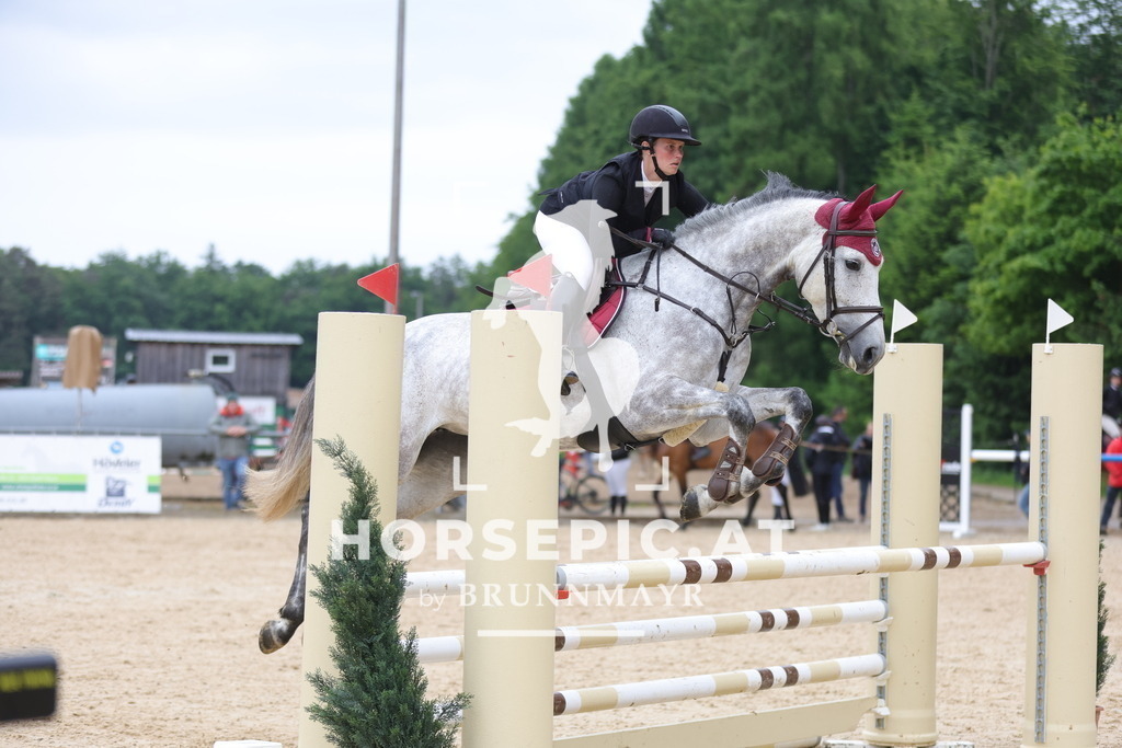 0P6A1344 | Willkommen bei Brunnmayr - Design & Fotografie – Ihrem Spezialisten für Reitturniere und Pferdeveranstaltungen in Oberösterreich, Salzburg und Bayern! Seit über 17 Jahren sind wir leidenschaftlich dabei.