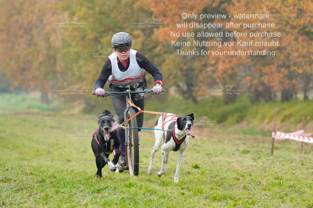 Visbeck_Sa_DS2DR2-80 | stephaniefillaphotographie - Realisiert mit Pictrs.com