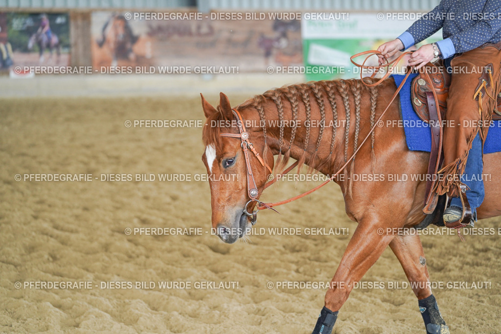 DSC05500 | Pferdegrafie