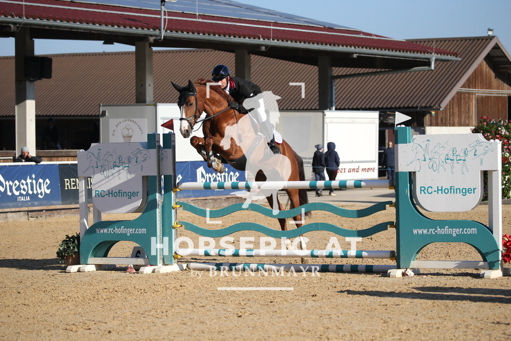 DL2Q1018 | Willkommen bei Brunnmayr - Design & Fotografie – Ihrem Spezialisten für Reitturniere und Pferdeveranstaltungen in Oberösterreich, Salzburg und Bayern! Seit über 17 Jahren sind wir leidenschaftlich dabei.