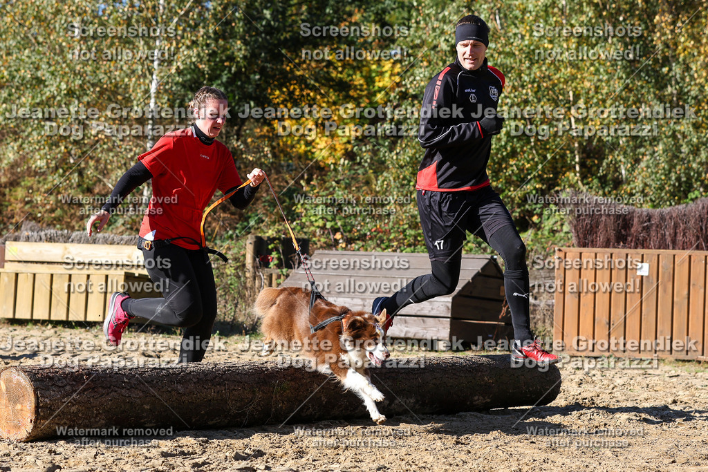 Dog Paparazzi - Strongdog 10-25-2802 | Dog Paparazzi Jeanette Grottendiek Fotografie & Videografie - Realisiert mit Pictrs.com