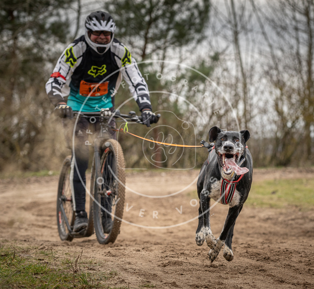 Pfotenfotografie_DV3A9905 | Hundefotografie, Tierfotograf, Pfotenfotografie, Fotoshooting Hund, Hunde Portrait, Hundesport, Hundeportraits, Heideshooting, Hunde, Sportfotograf, Hundefotograf, Turnierhundsport, THS,  - Realisiert mit Pictrs.com