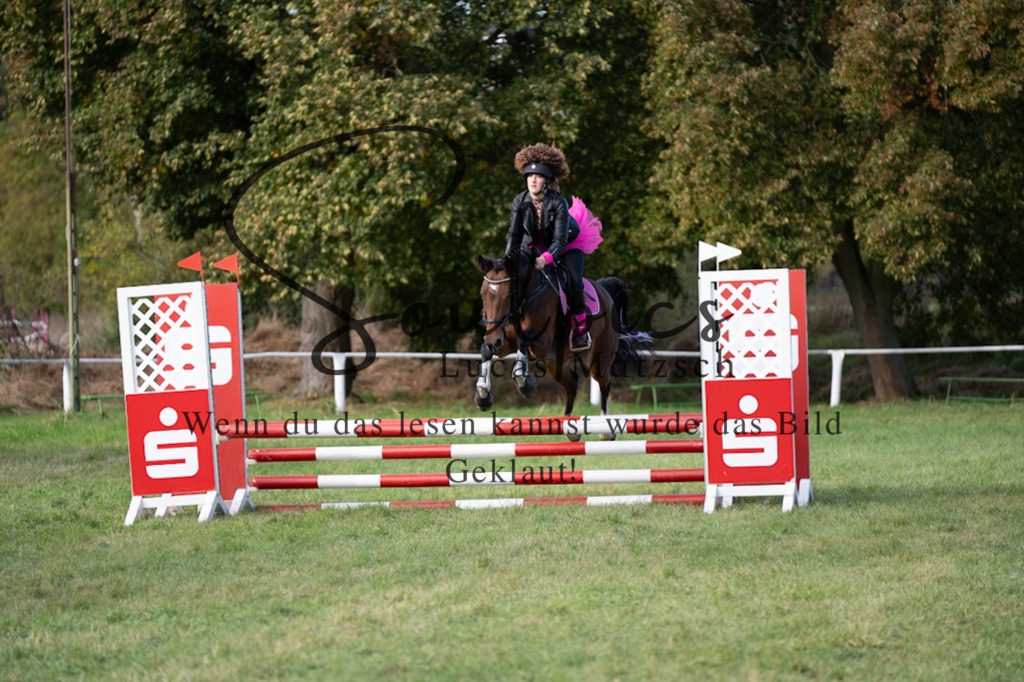 A7V06528 | Pferdefotograf