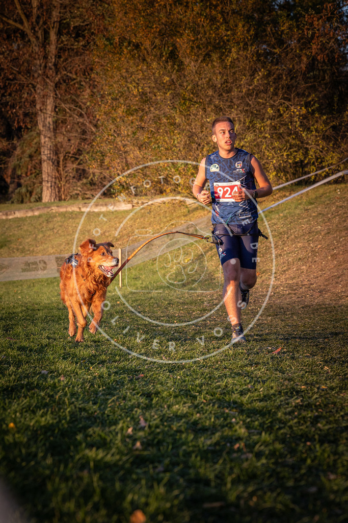 CaniXpix_0L8A1704 | Hundefotografie, Tierfotograf, Pfotenfotografie, Fotoshooting Hund, Hunde Portrait, Hundesport, Hundeportraits, Heideshooting, Hunde, Sportfotograf, Hundefotograf, Turnierhundsport, THS,  - Realisiert mit Pictrs.com