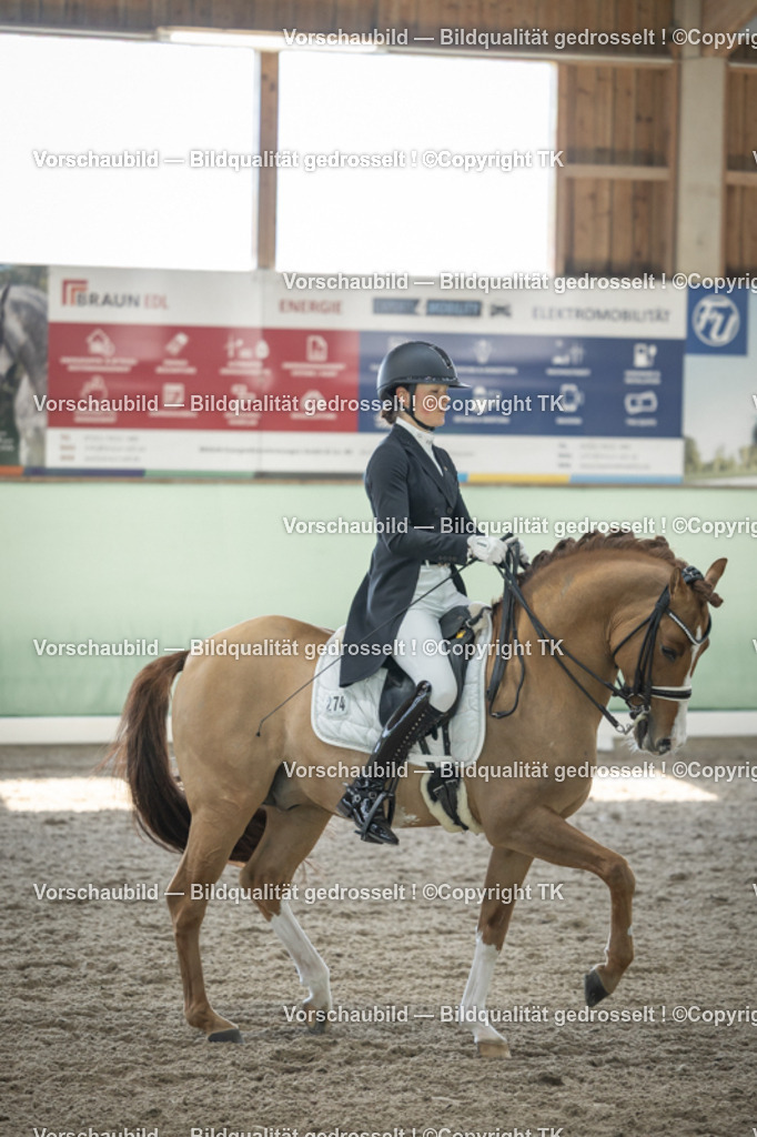 _D5A9410 | Emotionale Pferde- & People-Fotografie rund um Heidelberg, Leimen & Umgebung. Natürliche Fotos von Pferd, Mensch & Familie. Jetzt Termin sichern!