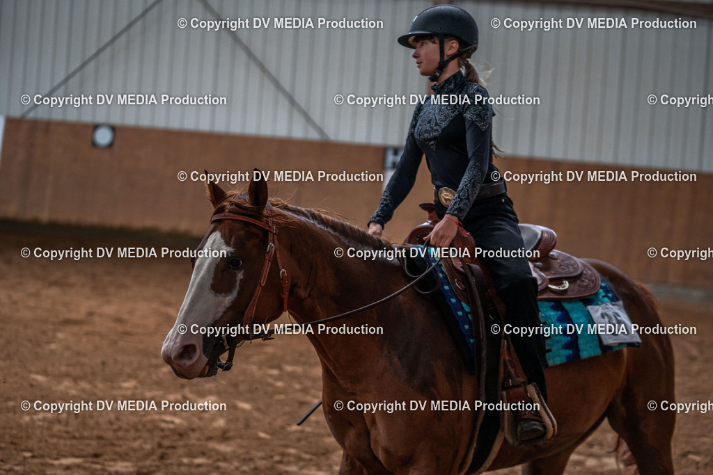 Neckargemünd Tag 1-195 | dv-media-shop - Realisiert mit Pictrs.com