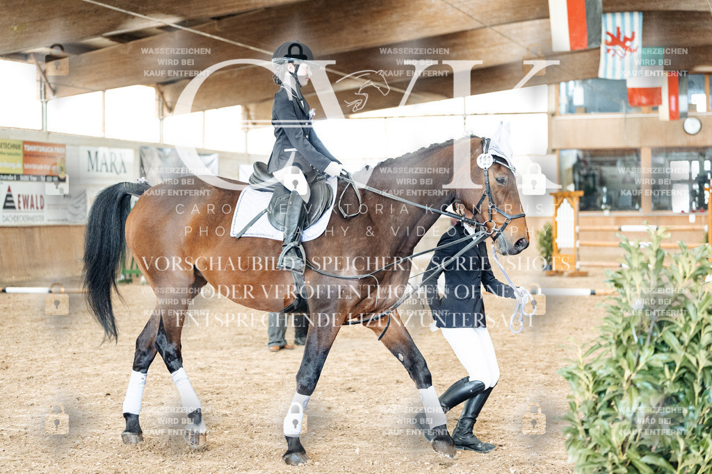 CK905906 | Turnierfotografie Pferdefotografie Trier Rheinland-Pfalz Pferdesport Reitsport Tierfotografie Sportfotografie Pferdevideo Pferdevideografie Equestrianvideography equestrianphotography  - Realisiert mit Pictrs.com