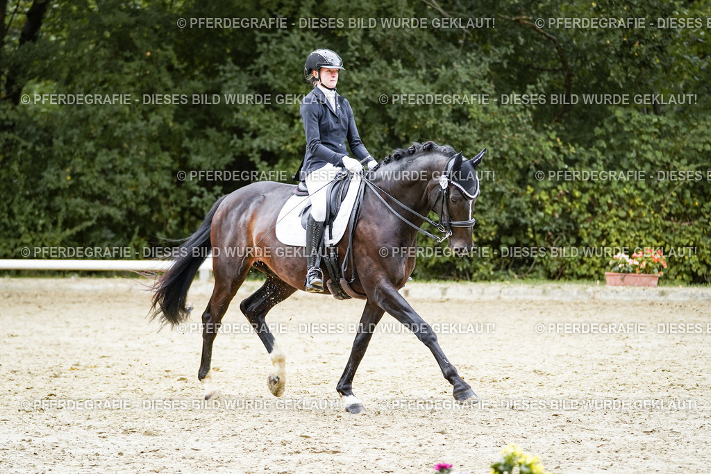 DSC01248 | Pferdegrafie