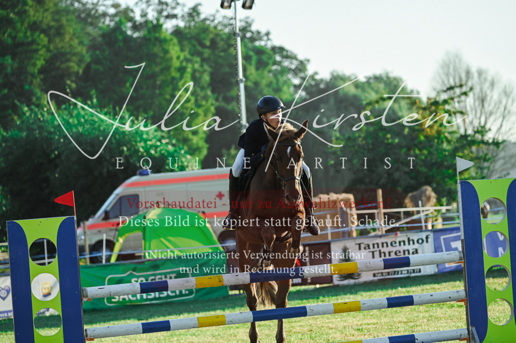DSC_3753 | Pferde- und Turnierfotografie in Westsachsen. Pferdeportraits, Auftragszeichnungen und intuitive Kunst.