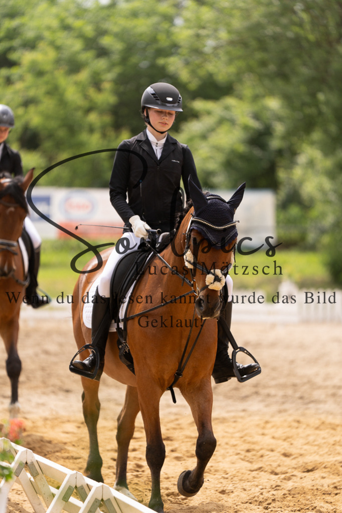 A7505903 | Turnier/Reitfotograf