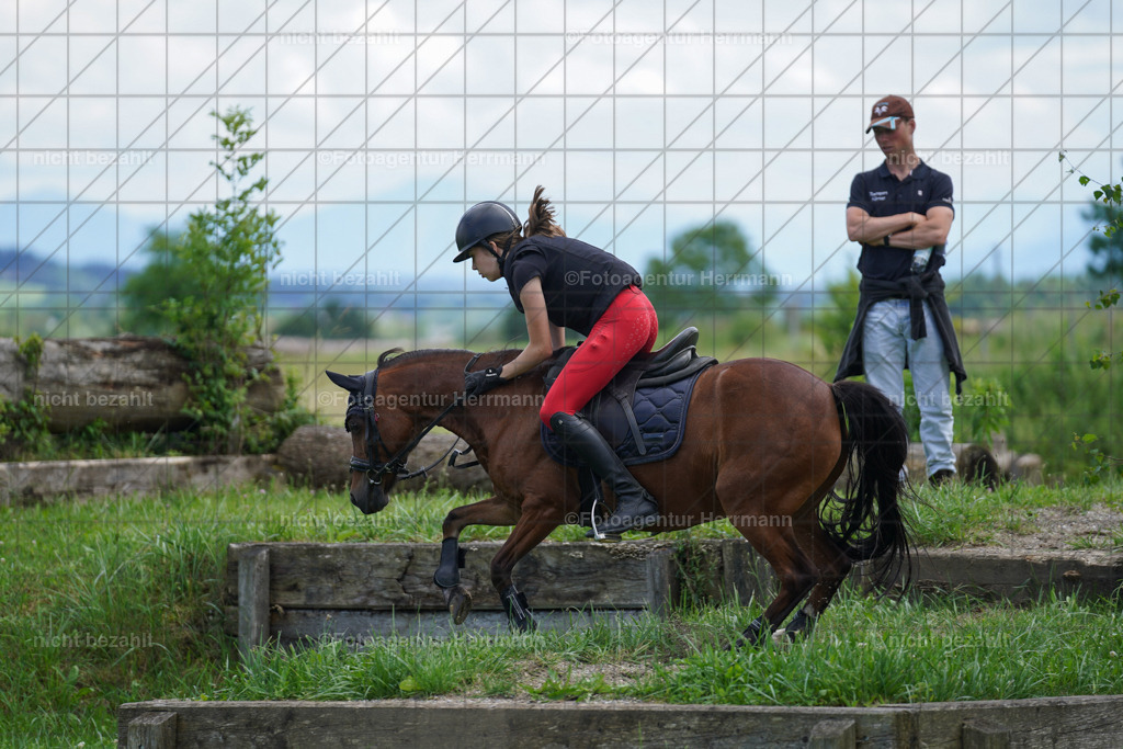 20240622-FAH07382 | Turnierfotografen Bayern, Reitsportbilder aus dem Geländekurs mit Felix Etzel auf dem Gut Waitzacker 2024