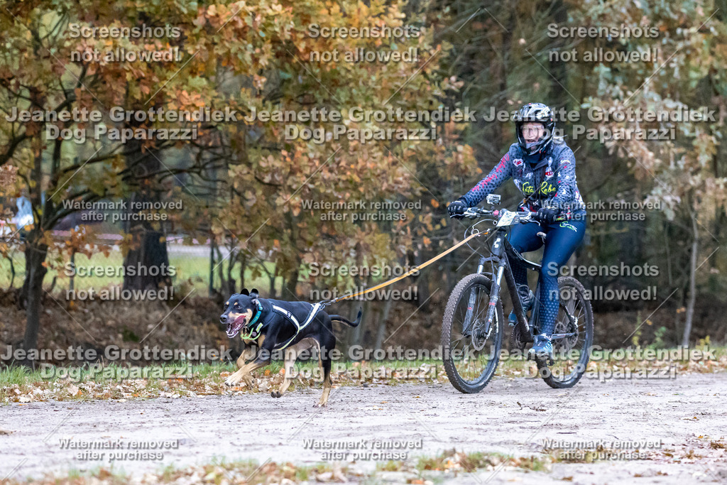Dog Paparazzi - SD CaniX Championship 2025-64 | Dog Paparazzi Jeanette Grottendiek Fotografie & Videografie