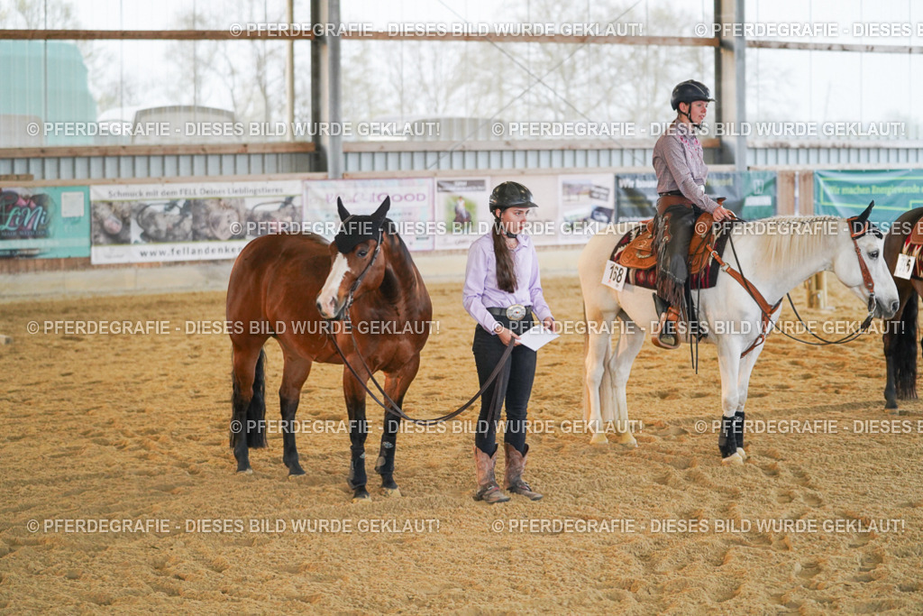 DSC08983 | Pferdegrafie