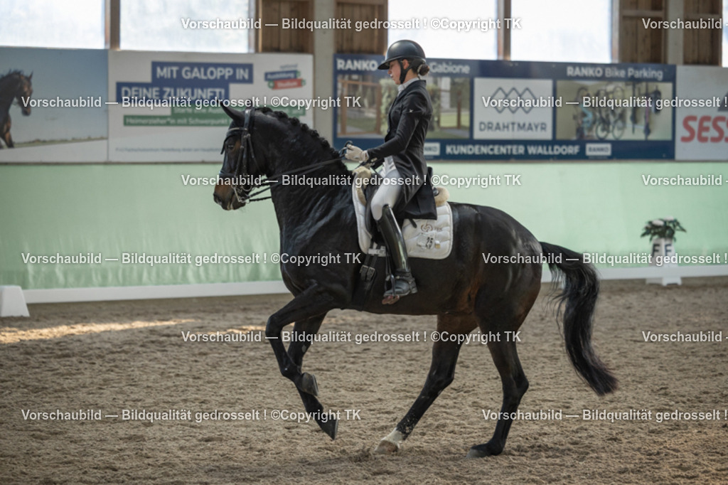 _D5A0646 | Emotionale Pferde- & People-Fotografie rund um Heidelberg, Leimen & Umgebung. Natürliche Fotos von Pferd, Mensch & Familie. Jetzt Termin sichern!