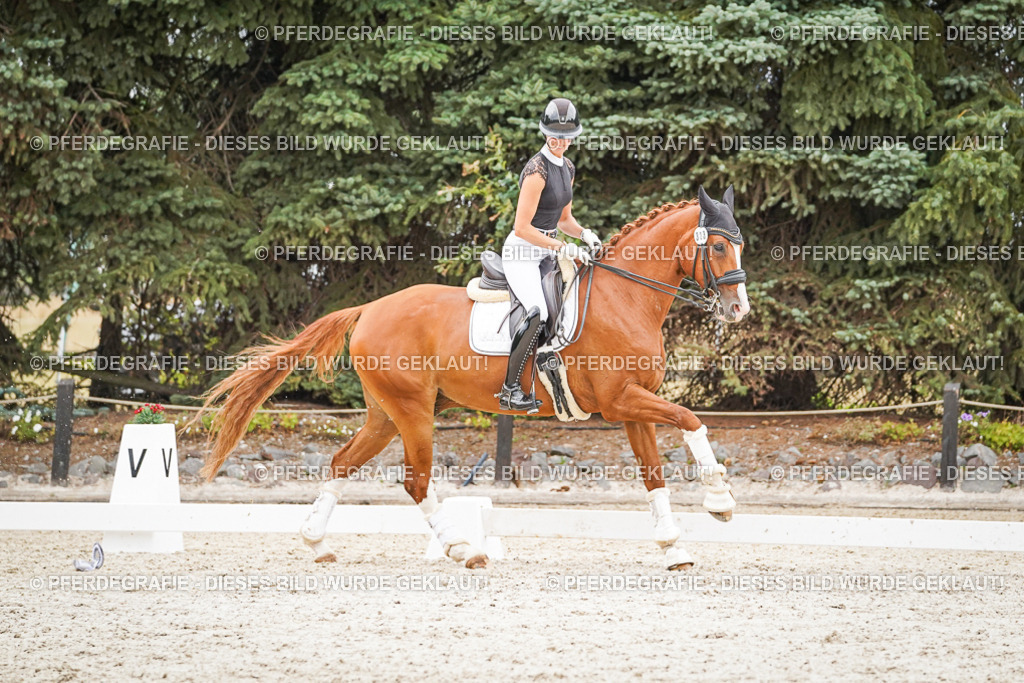 DSC08107 | Pferdegrafie