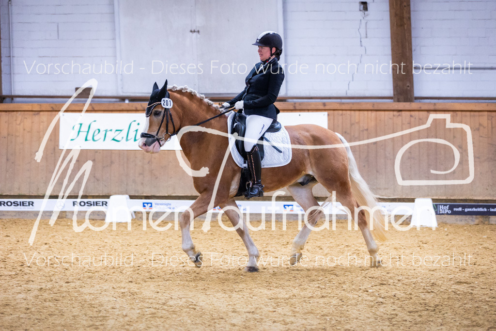 Sth-A-Dre-2St-042 | MomenTaufnahmen Pferdesportfotos