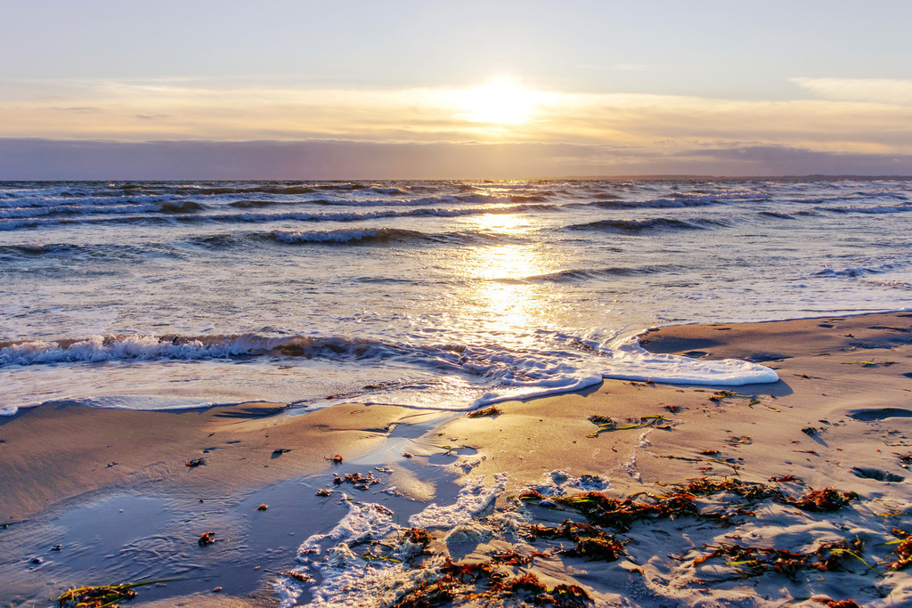Wandbild: Sonnenaufgang an der Ostsee in Damp | Ein traumhafter Sonnenaufgang am Ostseestrand in Damp – die sanften Farben der Morgendämmerung tauchen den Himmel und das Wasser in warmes Licht. Die auslaufende Welle im Vordergrund verstärkt die friedliche Dynamik der Küste, während die Sonne über das Meer strahlt und einen goldenen Schimmer auf den Sandstrand legt. Dieses Wandbild vermittelt Weite, Ruhe und die beeindruckende Schönheit eines maritimen Morgens – perfekt für eine entspannte Atmosphäre in Ihrem Zuhause. - Realisiert mit Pictrs.com