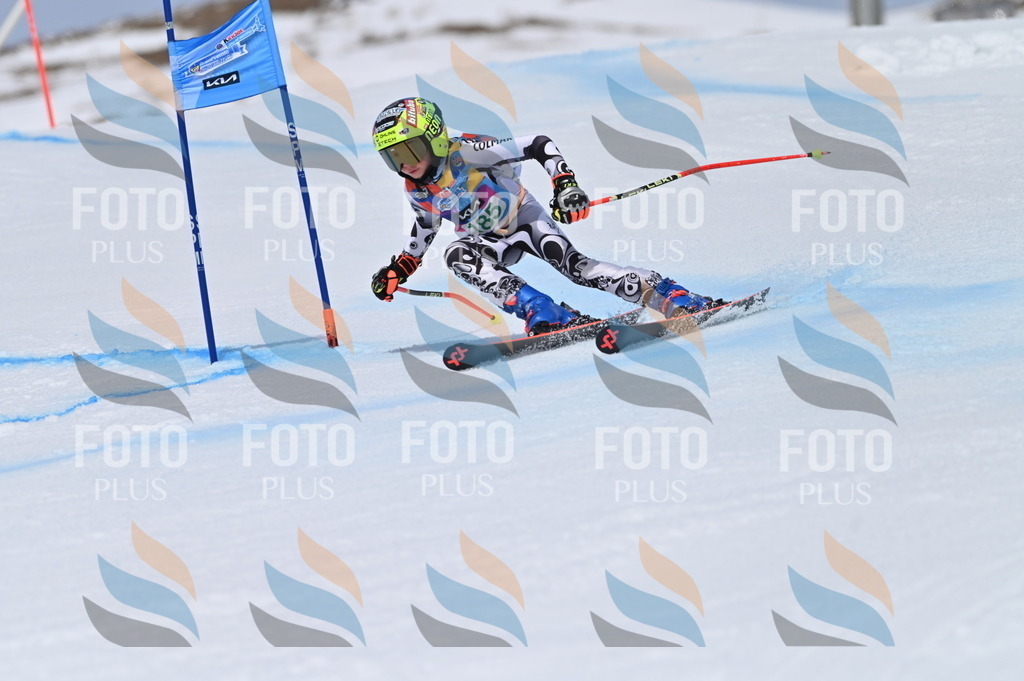 BGV_3615 | holidayphoto