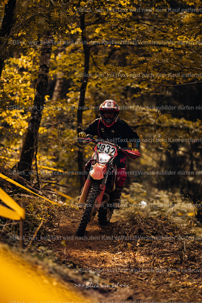 E68A3929 | blick_win_kel