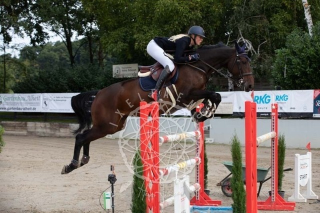 2B4A1110 | pixelfaenger - Realisiert mit Pictrs.com