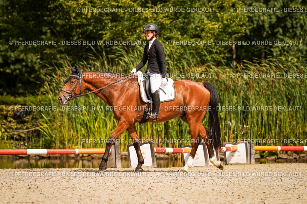 DSC01766 | Pferdegrafie