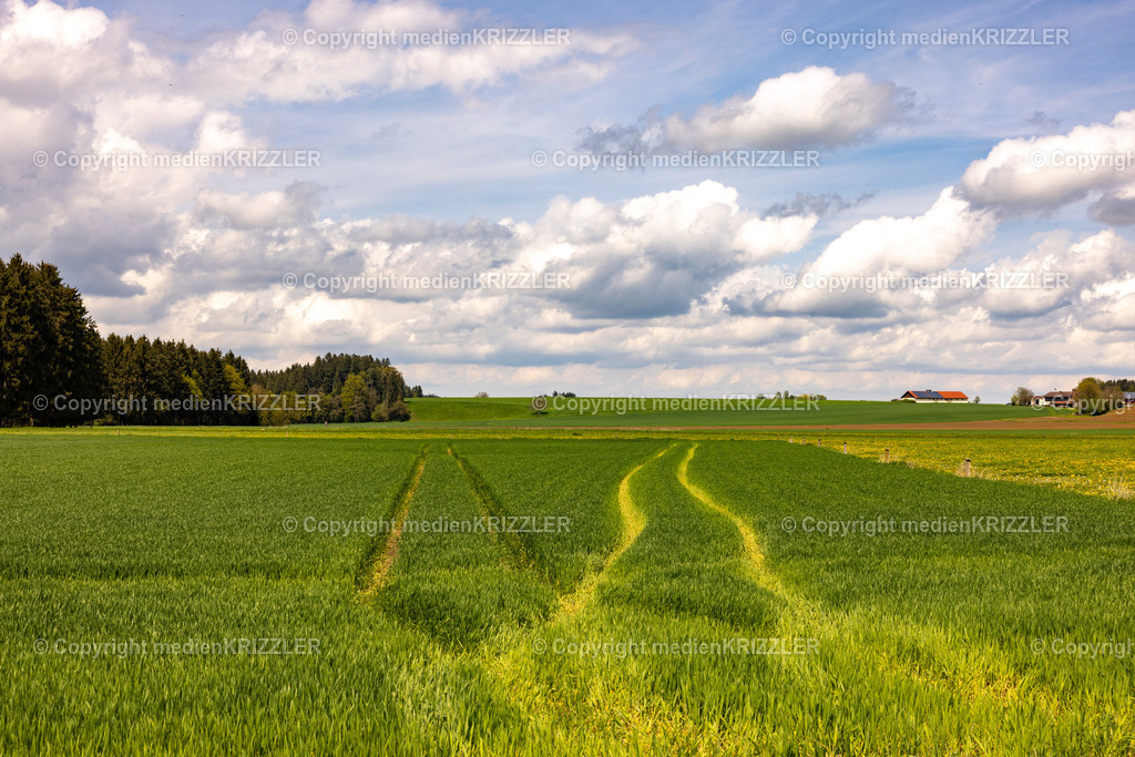 _J3A0591 | medienkrizzler - Realisiert mit Pictrs.com