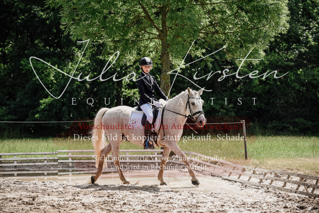 DSC_0531 | Pferde- und Turnierfotografie in Westsachsen. Pferdeportraits, Auftragszeichnungen und intuitive Kunst.
